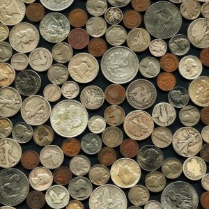 Tube of 20× 1 oz Silver Maples (Demo)
